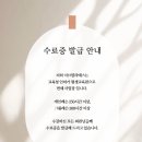 이브필라테스교육원