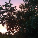 들길농장2 이미지