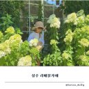 성주 리베볼 카페 방문 후기 아이와 함께 즐기는 힐링 카페