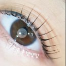 코코뷰티샵 네이버블로그
