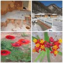 솔치흙집농원 이미지