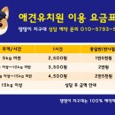 댕댕이 지구대 이미지