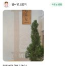 한라식당 | 양식당 브런치 연신내 갈현동 숨은 맛집 서오릉 파스타 내돈내산 후기
