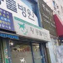 황동물병원 이미지