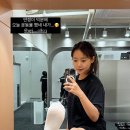 정도체육관 스포츠조선