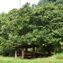 수리산역 이미지