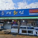 포항 문덕 횟집 물회 맛집 &#39;등대횟집&#39; 내돈내산 후기