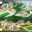 의료법인동일의료재단 이미지