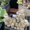 채희농장 이미지