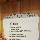 선엽 Daum카페