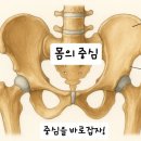 와이존