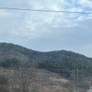 두낫디스터브(경산 반곡지 카페 방문)