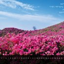 봉화우체국 이미지