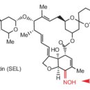 우리다온약국 이미지