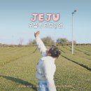 제주뮤지엄컴플렉스(주) | 제주 오설록 티뮤지엄 아이스크림 바움쿠헨 제주도 녹차밭