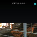 코람데오농장 이미지