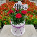 나드리세탁 이미지