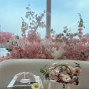 햅투유 | [신림] 햅투유 | 레터링케이크 맛집 브라이덜 샤워...디자인 문구 추천 주문제작 예약 가격 내돈내산 후기