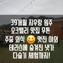 무튼 - 남구 봉선중앙로47번길 20 | [ 원주기업도시맛집 ] 오크밸리 뮤지엄산 맛집 원주 무튼 나폴리 피자 파스타 커플세트 팩트 후기