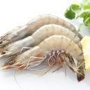 다이어트핫플레이스 이미지