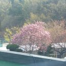 형남중학교 이미지