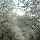 기쁨고속관광 이미지