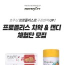 (주)엘카라 이미지