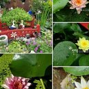 연못들2 이미지