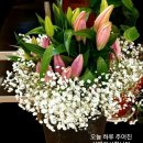 행복가득 이미지