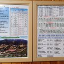 개울가빨래방 | 2022년 여름 휴가 (2) ​경북 상주시 성주봉 자연휴양림