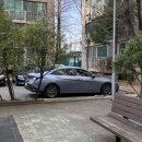 블루펄 | 아반떼 CN7 2025 가솔린 1.6 인스퍼레이션 메타블루펄 출고 후기 (첫 차 추천!)