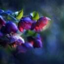 시절 인연 이미지