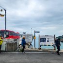 고성공룡시장 | 3월말 강추하는 남파랑길33코스(솔섬-상족암-고성공룡박물관) 봄꽃 트레킹 후기(with 여행자클럽)