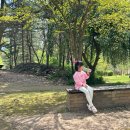 안곡습지공원 화장실 이미지