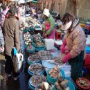 항구목장 이미지