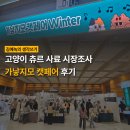 조공시장 | 프리랜서 마케터의 고양이 츄르 시장 조사 | 가낳지모 캣페어 후기
