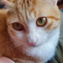 정성환동물병원 이미지