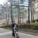 이씨씨대치