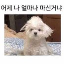 88여인숙 | 목포, 해남여행 1박2일 즉흥여행은 사랑이야♥