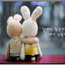잔울림