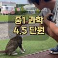 동동스하우스