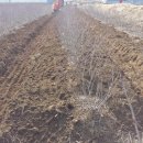 현재농장 이미지