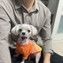 길정병원 이미지