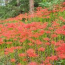 배산성지 이미지