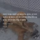 이 새킨 맨날 멘헤라toxic러브 하고잇네 쯔 메타ㅅㅍ 이미지