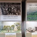 장생도라지박물관 이미지