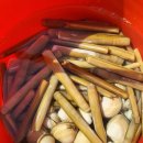 월하성어촌체험마을 이미지