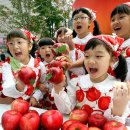 11월은 충주 사과를 맛있게 먹는 달 - 충주하면 사과, 사과하면 충주!! 이미지