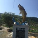 2016년 그랜드 랜도너스 DNF 후기.