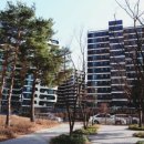 김가(家)네 이미지